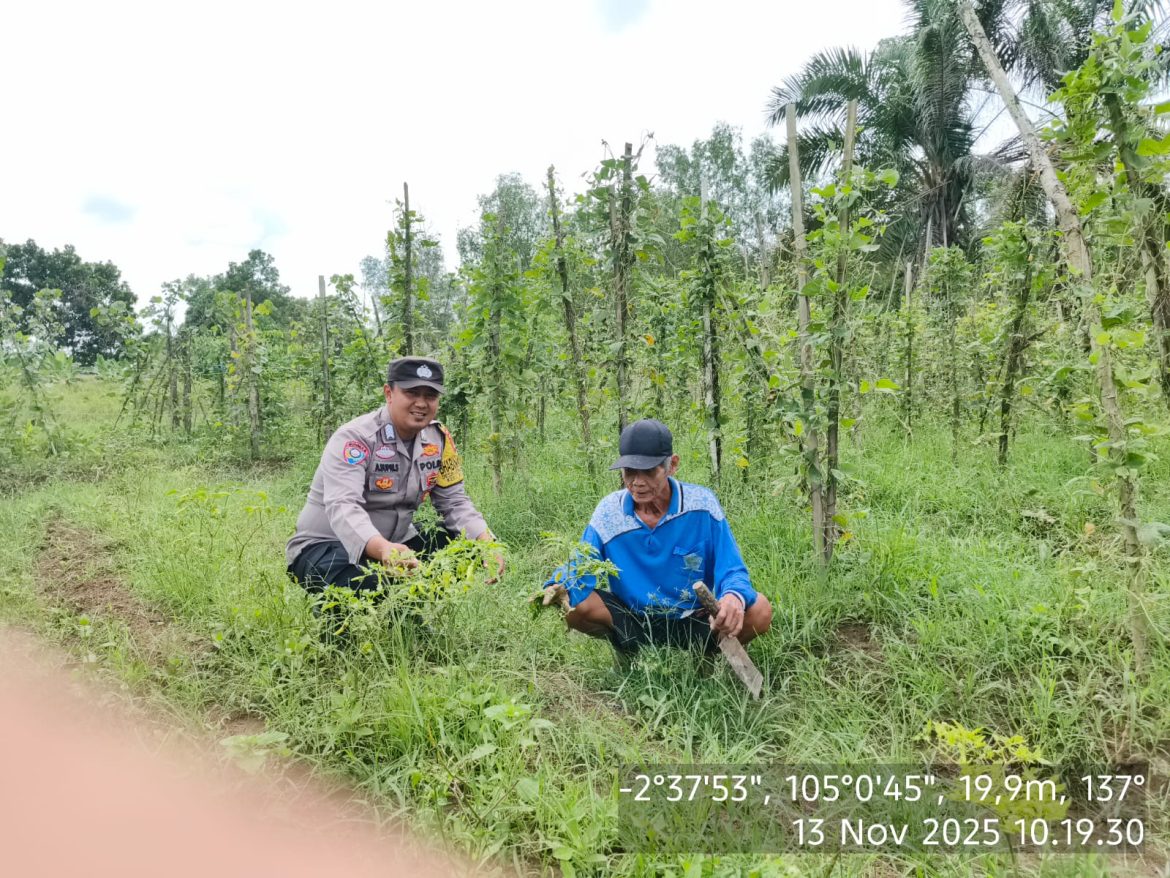Bhabinkamtibmas Polsek Makarti Jaya Gerakkan Masyarakat Dukung Program Pangan Nasional