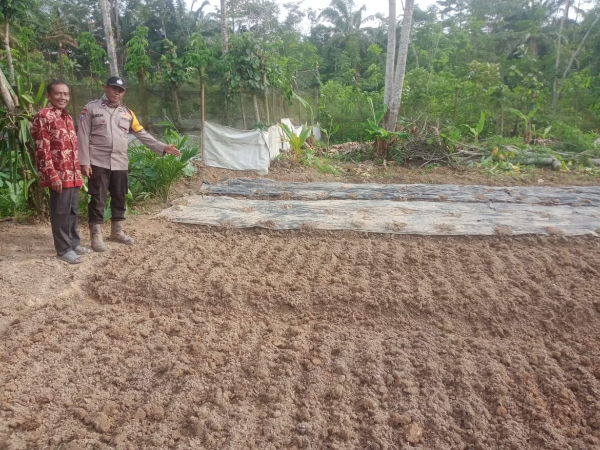 Bhabinkamtibmas Polsek Tungkal Ilir Sosialisasikan Program P2B untuk Dukung Swasembada Pangan