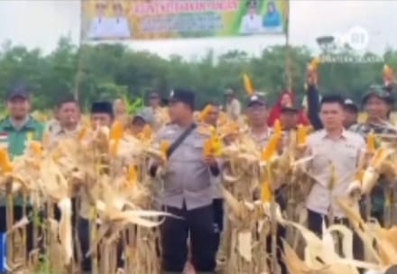 Panen Jagung Ketahanan Pangan Desa Pandan Capai Lima Ton, Wujud Transparansi Kepemimpinan Kades Syahrul Nizar