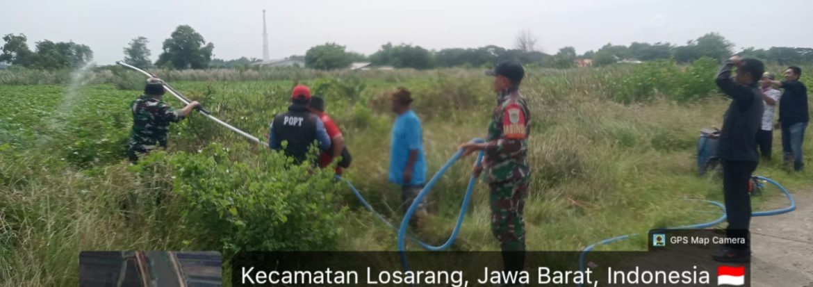 Penyemprotan Eceng Gondok di Desa Jumbleng Blok Betokan Anggota Koramil 1611/Losarang Bersama Masyarakat Desa Jumbleng Blok Betokan
