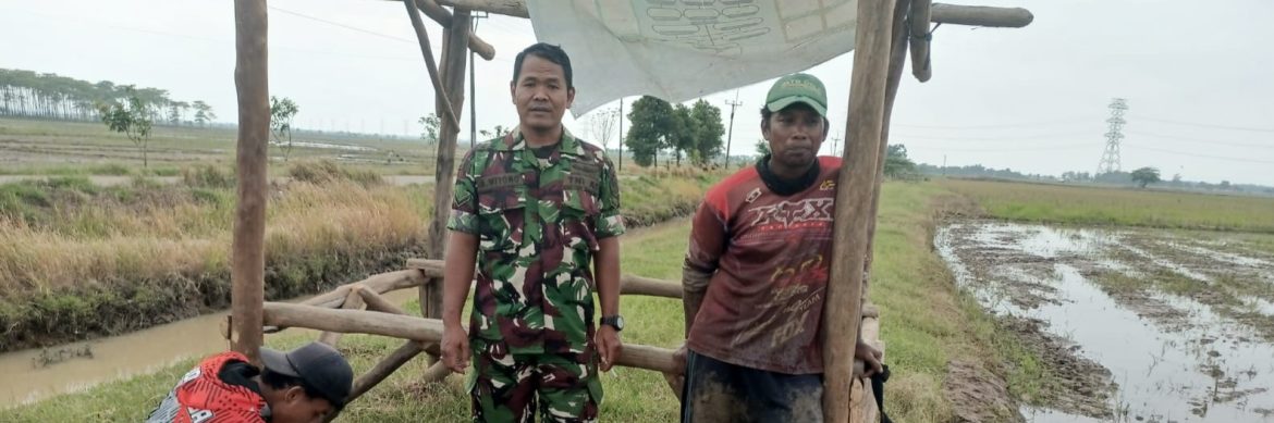 Babinsa Koramil 1605 Sukagumiwang Monitoring dan Pendampingan Pengolahan Lahan Sawah di Area Sawah Desa Candangpinggan
