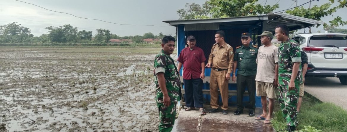 Danramil 1603 Lohbener Adakan Kordinasi Penyiapan Lahan Pembangunan Kdkmp di Wilayah Kecamatan Lohbener dan Kecamatan Arahan