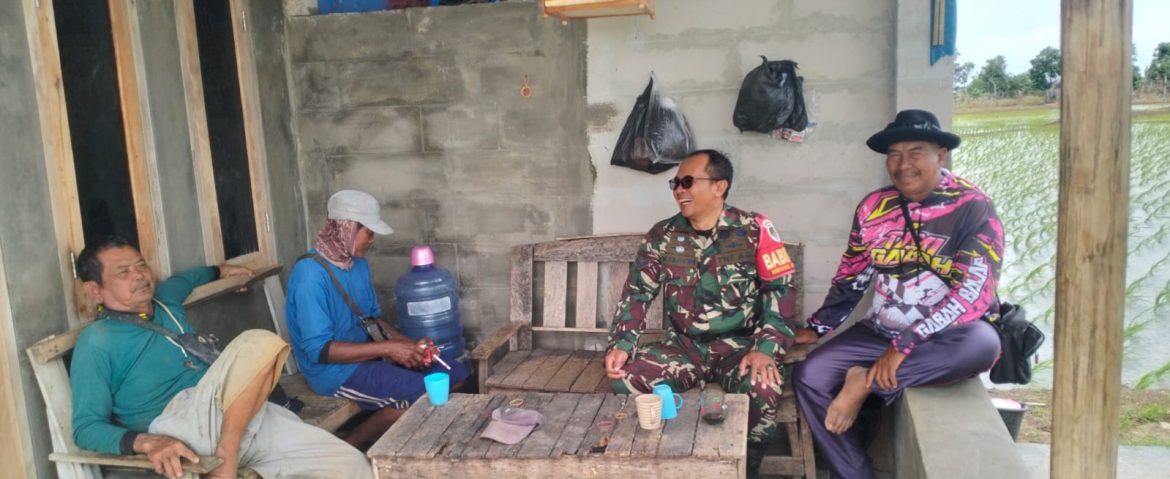 Melalui Kegiatan Komsos, Babinsa Koramil 1601 Indramayu Merencanakan Penaggulangan Hama Tikus Bersama Para Petani 