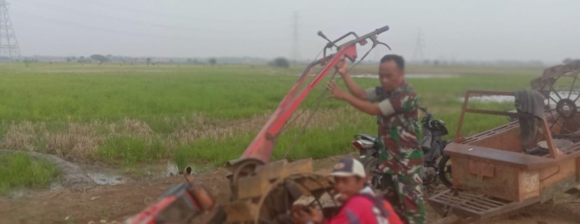 Anggota Koramil 1605 Sukagumiwang Monitoring dan Pendampingan Pertanian Musim Rendeng/Penghujan di Desa Kertasemaya 