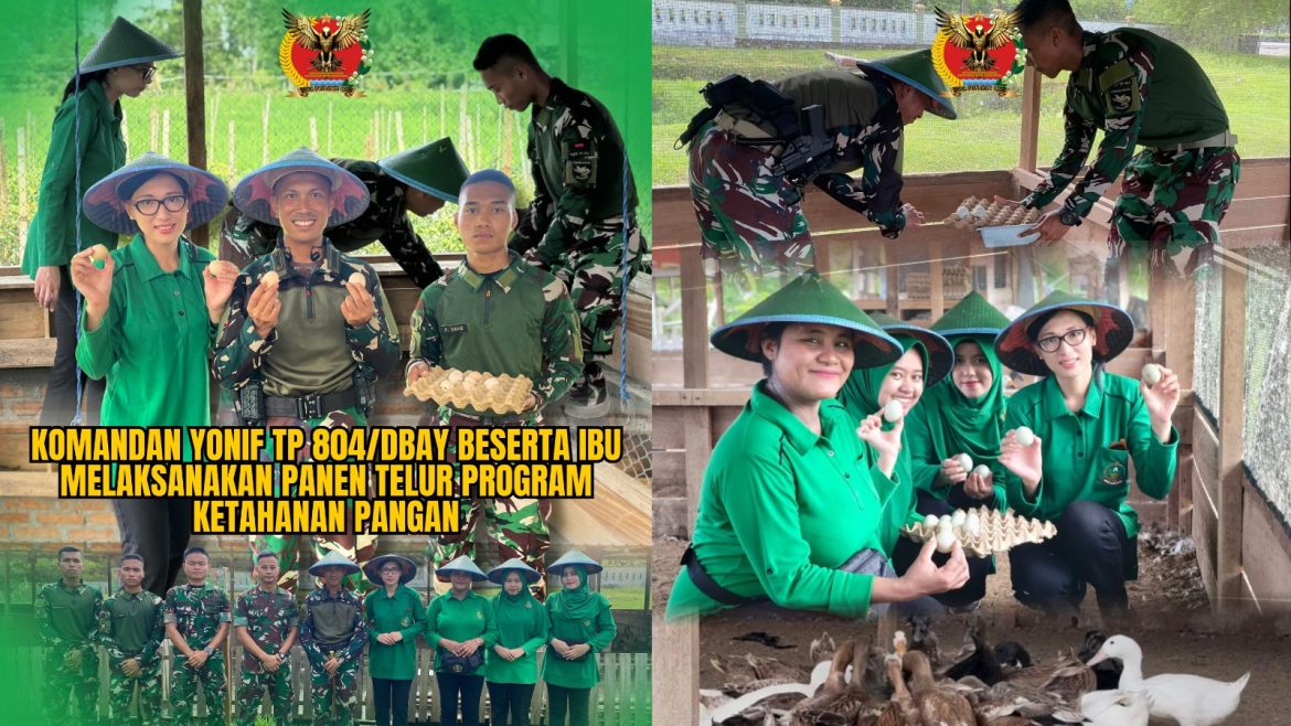 Panen Telur bersama Komandan Yonif TP 804/DBAY dan Ibu Ketua Persit KCK XLIV Yonif TP 804/DBAY