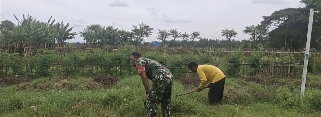 Koramil 1608 Karangampel Laksanakan Pembersihan Lahan Dalam Rangka Percepatan Pembuatan Bangunan Koperasi Desa Merah Putih Desa Pringgacala