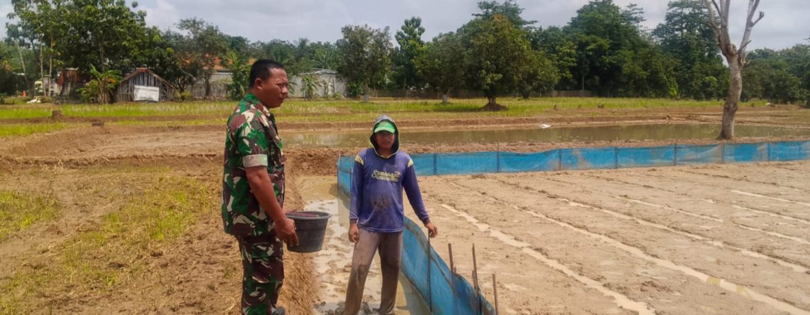 Anggota Koramil 1605/Sukagumiwang Laksanakan Pendampingan Pertanian Musim Rendeng di Desa Jambe