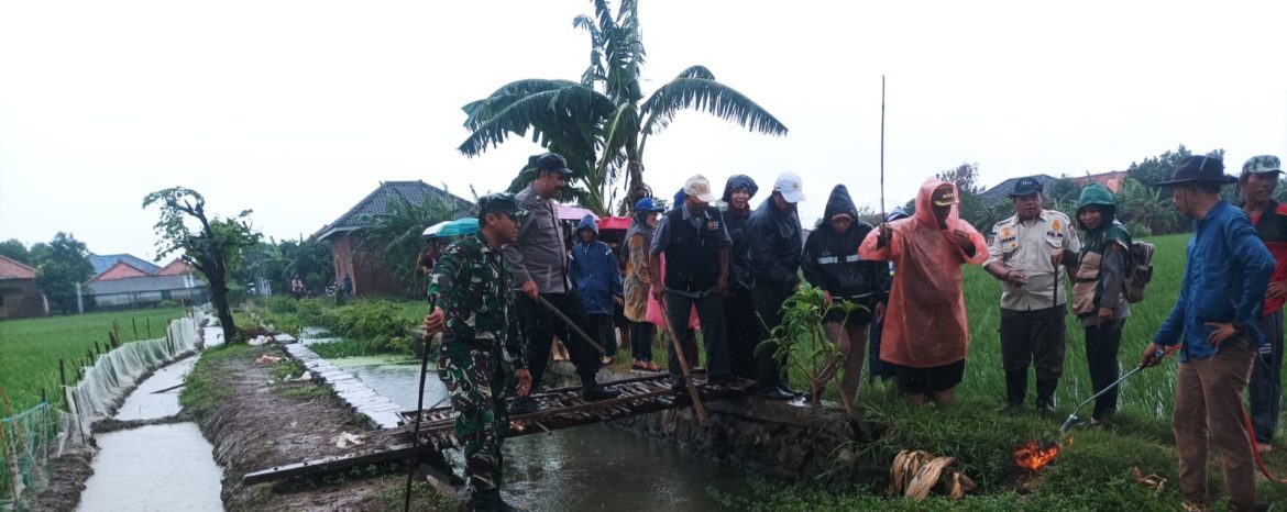 Koramil 1602 Sindang Laksanakan Kegiatan Gropyokan Tikus di Desa Pabean ilir