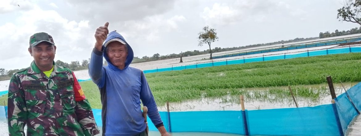 Personel Koramil 1603/Lohbener Laksanakan Pendampingan Pertanian di Desa Larangan