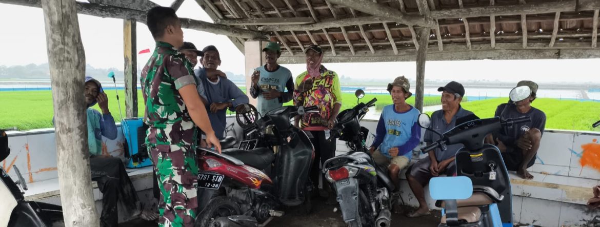 Anggota Koramil 1608 Karangampel Laksanakan Komsos Bersama Kelompok Tani Desa Karangampel