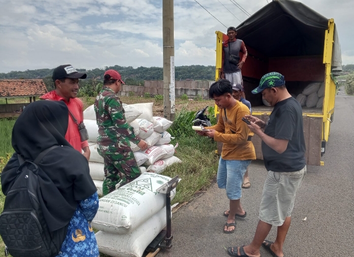 Babinsa Panawuan Dampingi Bulog Serap 2,1 Ton Gabah Petani di Cigandamekar.