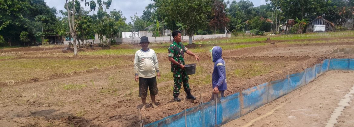 Anggota Koramil 1605 Sukagumiwang Laksanakan Monitoring dan Pendampingan Pengolahan Lahan Sawah di Desa Tegal Wirangrong
