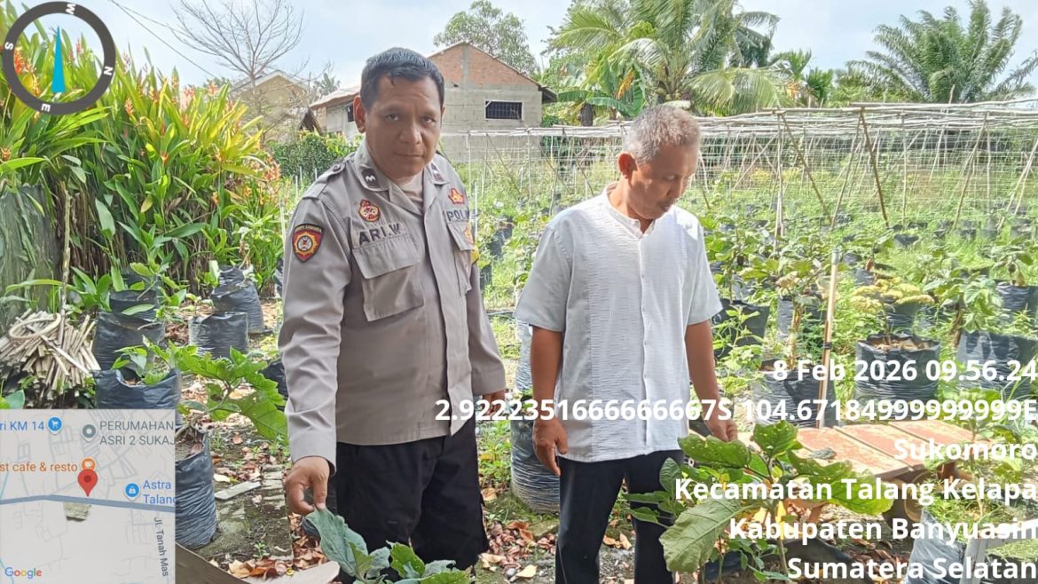 Bhabinkamtibmas Polsek Talang Kelapa Gerakkan Masyarakat Dukung Program Swasembada Pangan Presiden