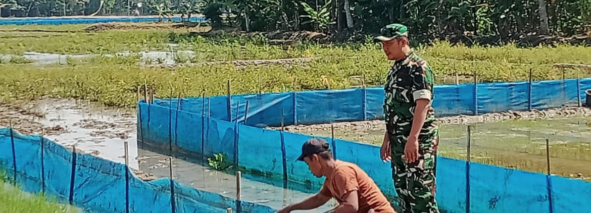 Anggota Koramil 1605/Sukagumiwang Laksanakan Monitoring dan Pendampingan Pertanian di Desa Sukawera