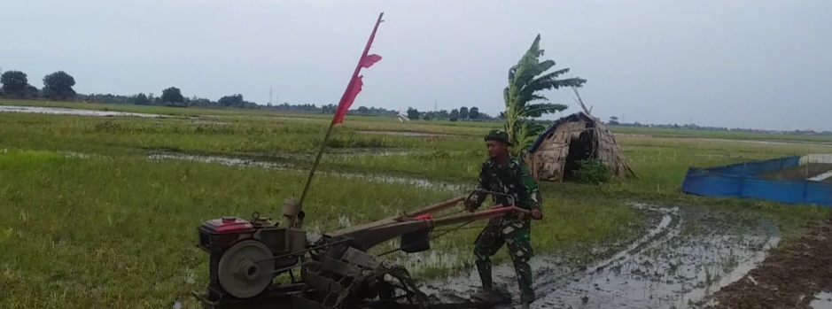 Personel Koramil 1605/Sukagumiwang Laksanakan Monitoring dan Pendampingan Olah Lahan Pertanian di Desa Lemahayu