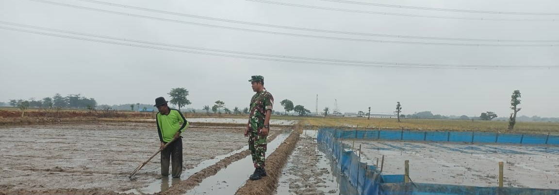 Babinsa Koramil 1605 Sukagumiwang Laksanakan Monitoring dan Pendampingan Pertanian di Desa Manguntara