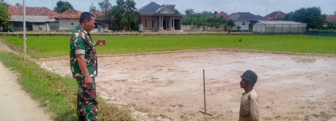 Babinsa Koramil 1605 Sukagumiwang Monitoring dan Dampingi Pengolahan Lahan Sawah di Desa Jambe