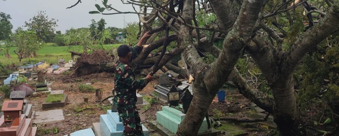 Anggota Koramil 1602/Sindang Laksanakan Penebangan Pohon Tumbang Akibat Hujan dan Angin Kencang di Desa Terusan
