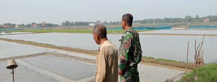 Babinsa Koramil 1603 Lohbener Laksanakan Pendampingan Pertanian di Desa Cidempet