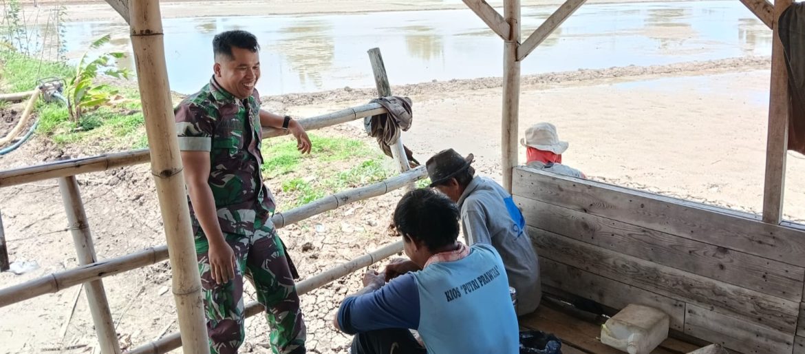 Babinsa Koramil 1601/Indramayu Laksanakan Komsos Bersama Petani di Desa Balongan