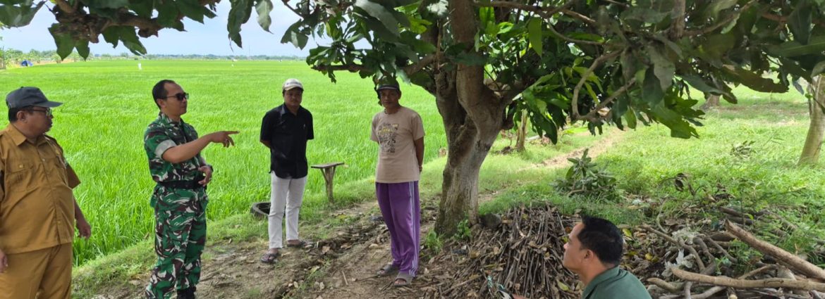 Babinsa Koramil 1601/Indramayu Komsos Bersama Warga Desa Tegalurung