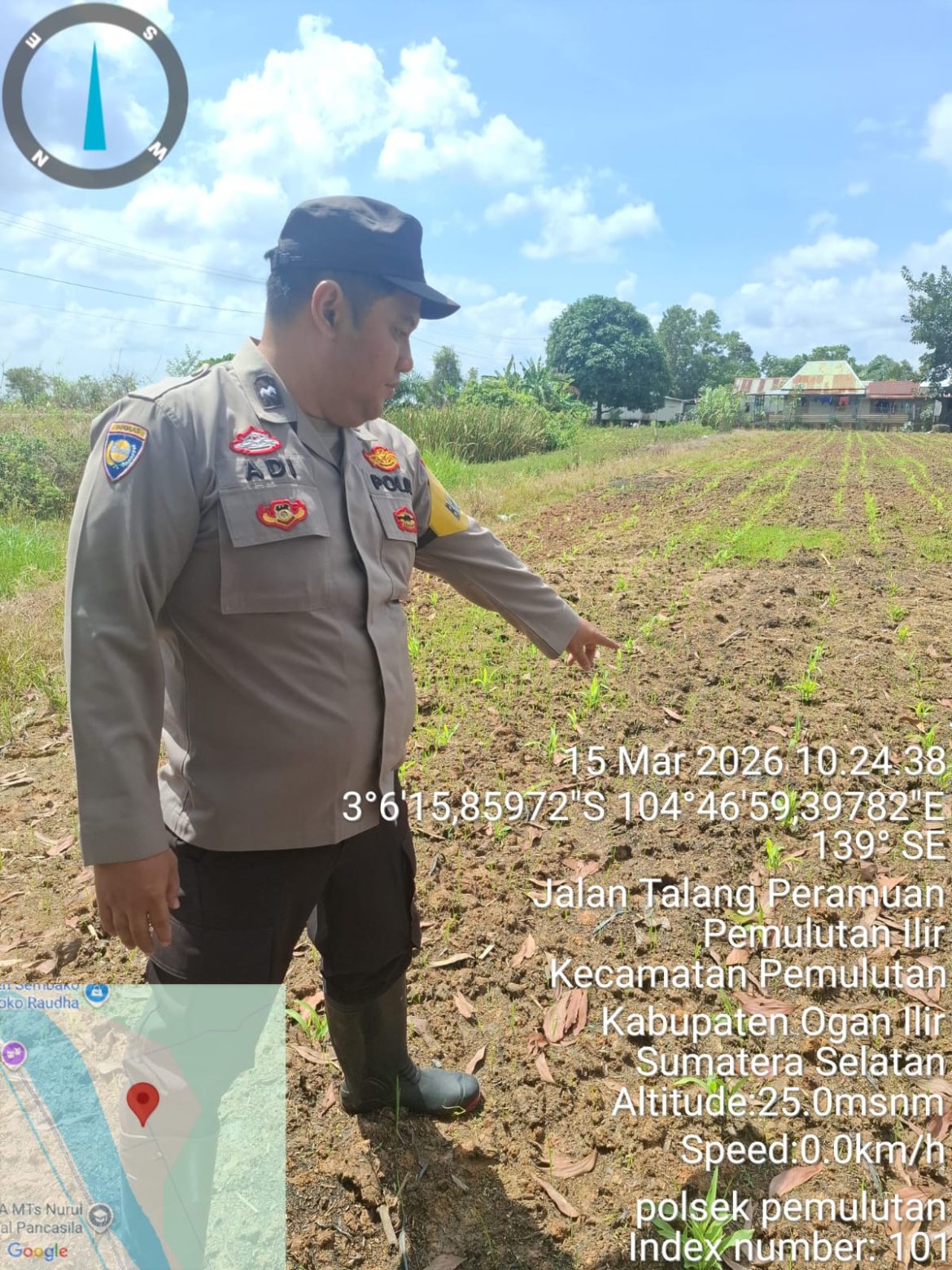 Bhabinkamtibmas Polsek Pemulutan Monitoring Perkembangan Tanaman Jagung Program Ketahanan Pangan Seluas 2 Hektar