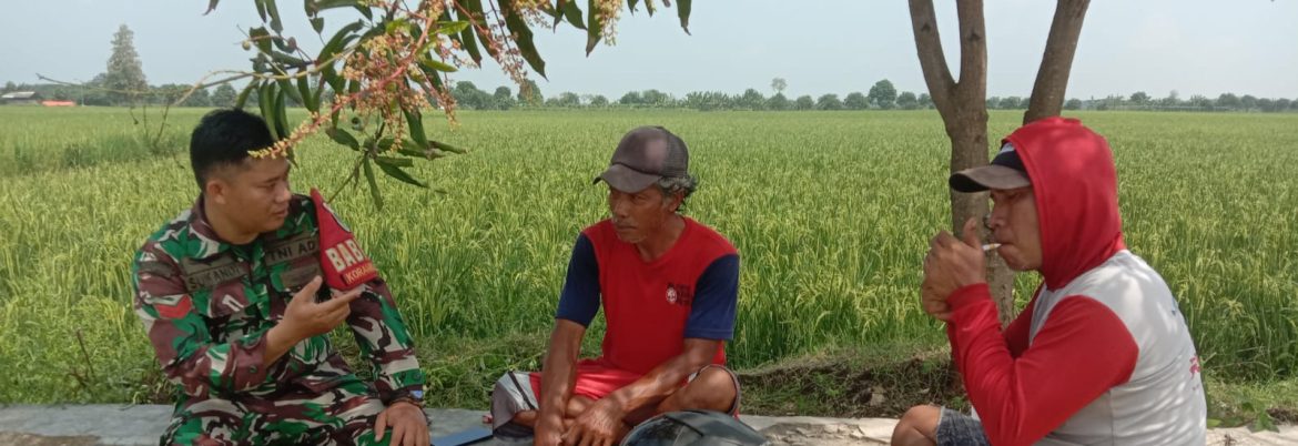 Babinsa Koramil 1601/Indramayu Gelar Komsos di Desa Pabeanudik, Ajak Warga Jaga Keamanan dan Kebersihan
