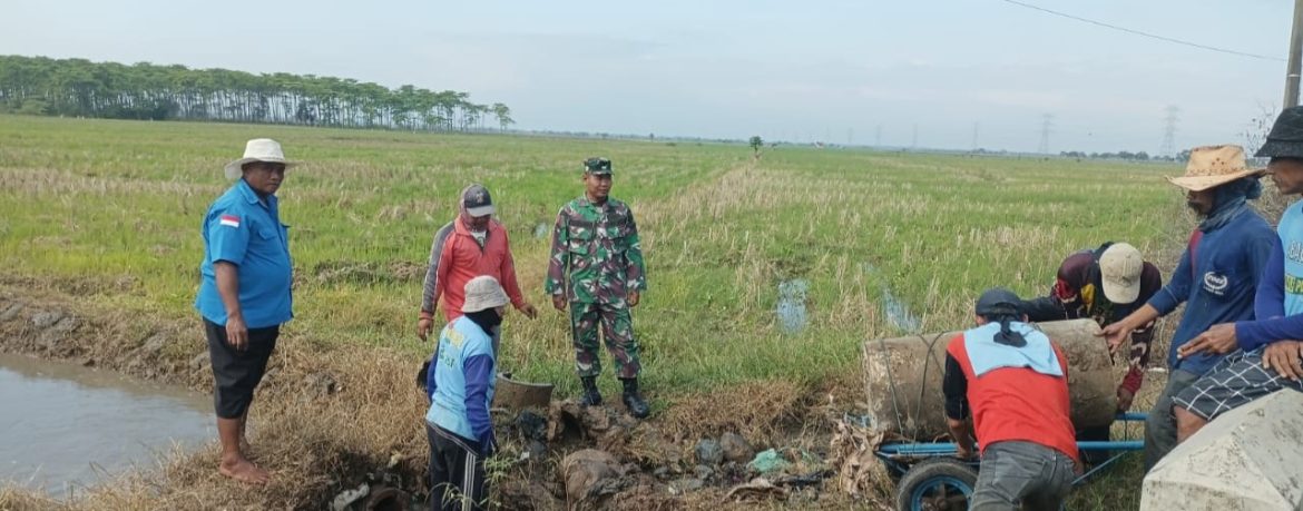 Babinsa Koramil 1605 Sukagumiwang Karya Bakti Bangun Saluran Air, Dukung Produktivitas Petani