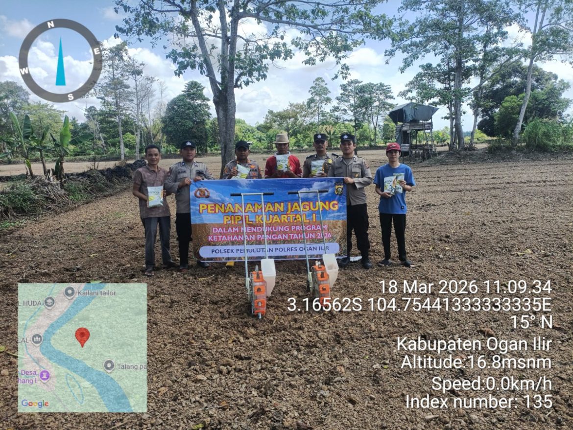 Polsek Pemulutan Bersama Pemerintah dan Kelompok Tani Turun Langsung Garap 5 Hektare Jagung untukmu Perkuat Ketahanan Pangan di Ogan Ilir