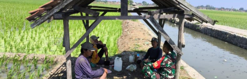 Anggota Koramil 1608/Karangampel Komsos Bersama Kelompok Tani Bahas Swasembada Pangan