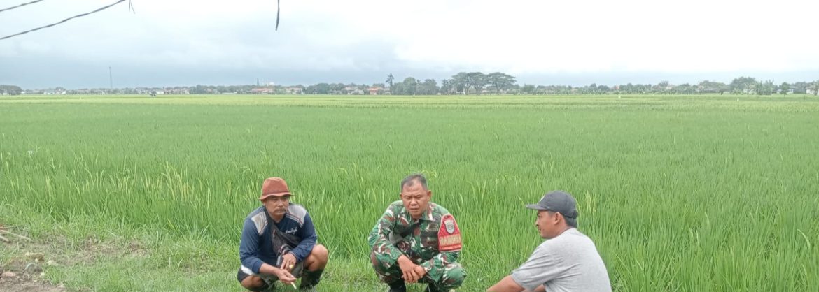 Sertu A.Zaeni Babinsa Koramil 1601/Indramayu Perkuat Silaturahmi dan Kamtibmas Lewat Komsos di Desa Tegalsembadra