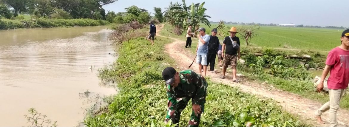 Koramil 1603 Lohbener Bersama Warga Bersihkan Eceng Gondok di Desa Arahan Kidul