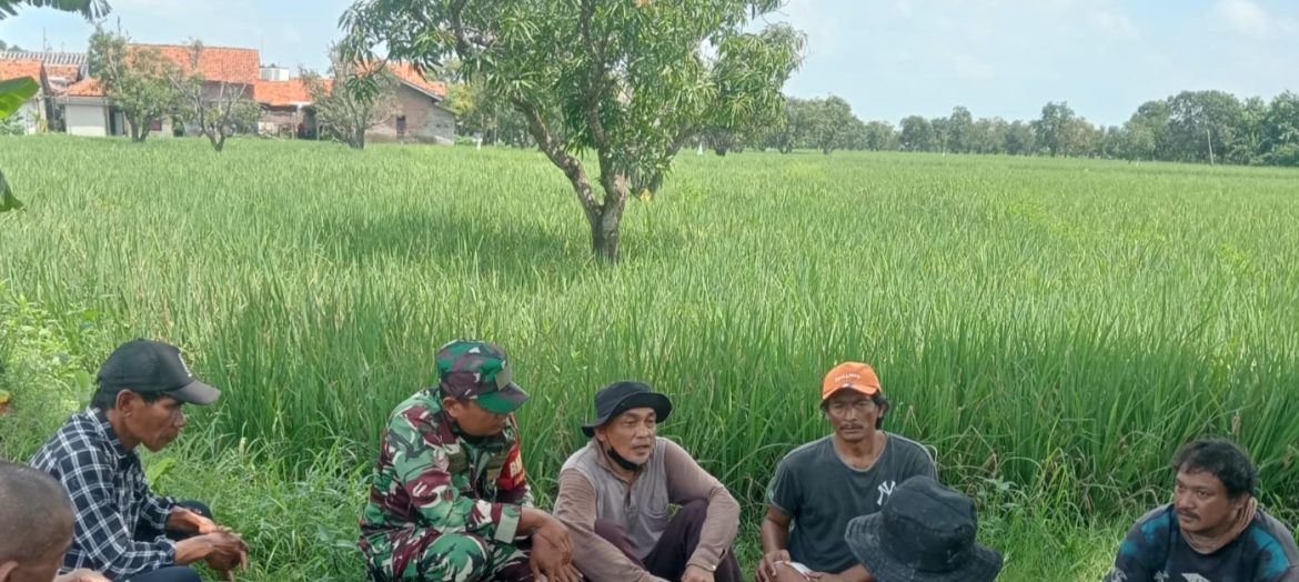 Babinsa Koramil 1608 Karangampel Komsos Bersama Warga Desa Jayalaksana, Perkuat Sinergi dan Kamtibmas