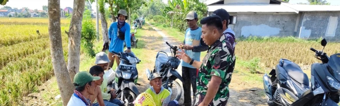 Babinsa Koramil 1608/Karangampel Komsos Bersama Masyarakat dan Petani Desa Kedokanbunder Wetan