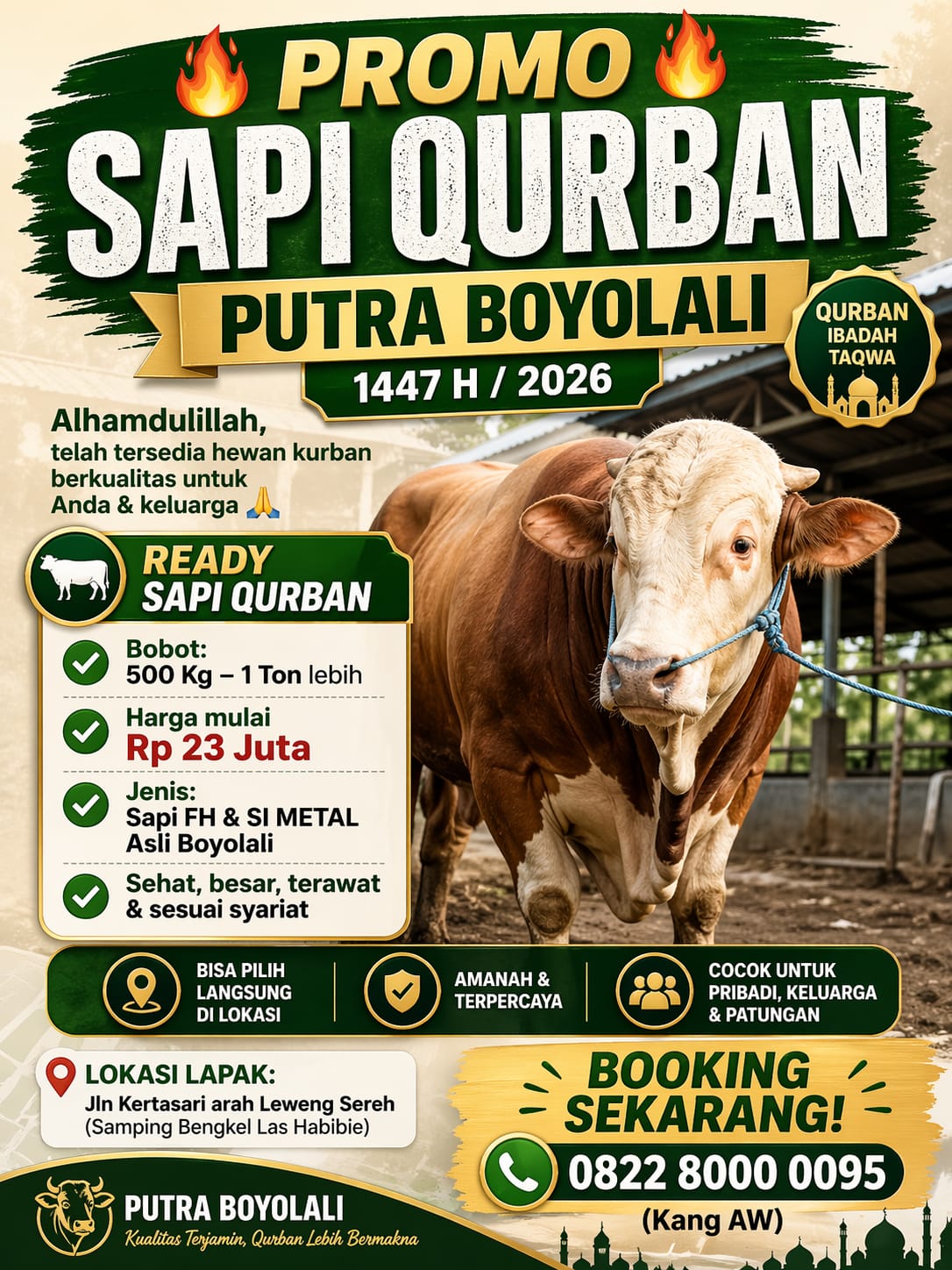 Sapi Kurban 1 Ton dari Boyolali Hadir di Karawang, Harga Mulai Rp 23 Juta