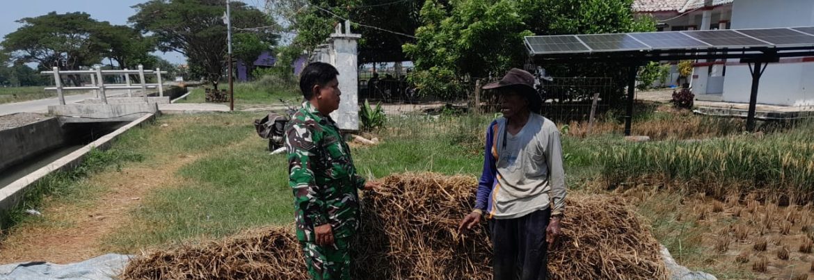 Babinsa Koramil 1602 Sindang Laksanakan Pendampingan Ketahanan Pangan di Desa Karang Anyar