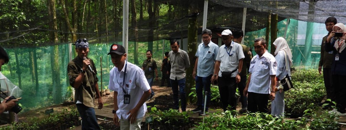 Kolaborasi Konservasi di Sanggabuana: Rumah Bibit Dibangun untuk Selamatkan Owa Jawa dan Habitatnya