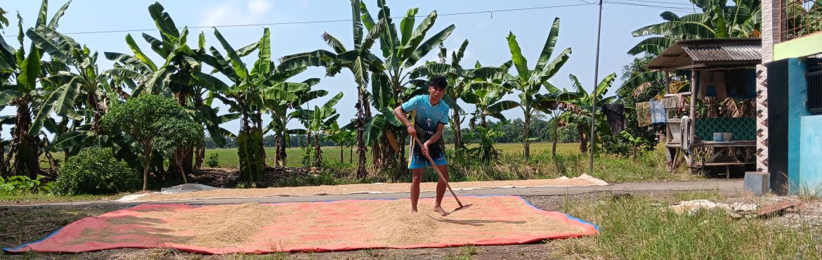 Dari Lapangan Voli ke Dunia Pertanian, Doni Setiawan Jadi Inspirasi Pemuda Indramayu