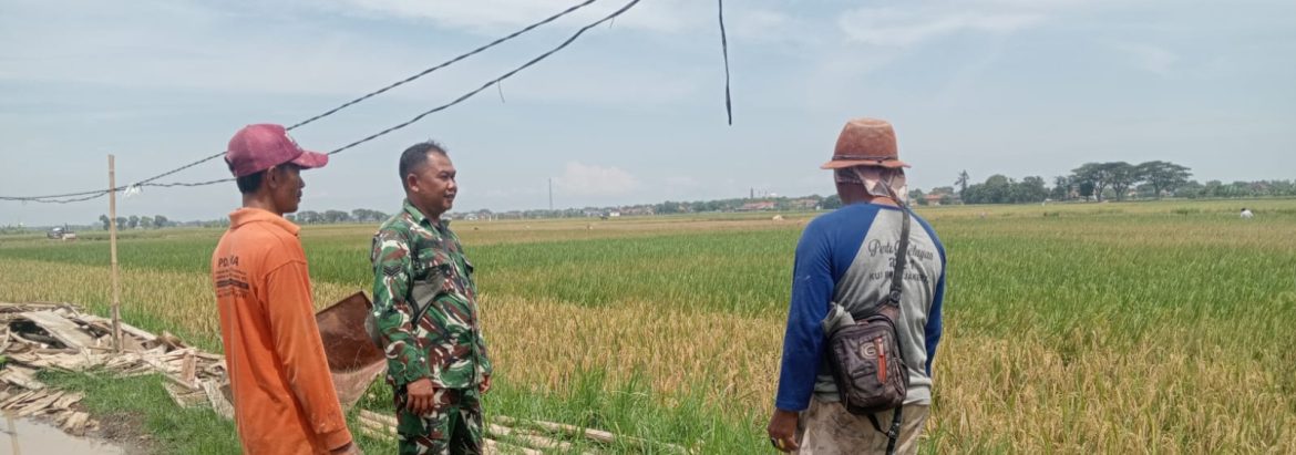 Sertu A. Zaeni Anggota Koramil 1601/Indramayu Komsos Bersama Masyarakat di Wilayah Binaan Desa Tegalsembadra