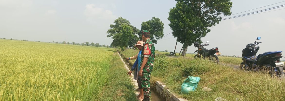 Babinsa Koramil 1603/Lohbener Monitoring dan Dampingi Petani Siapkan Lahan Sawah di Sukasari