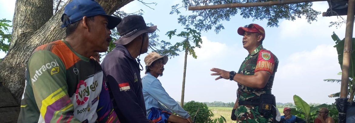 Babinsa Koramil 1608/Karangampel Komsos Bersama Petani Desa Dukuh Tengah, Bahas Penanganan Hama Tikus dan Irigasi Pertanian