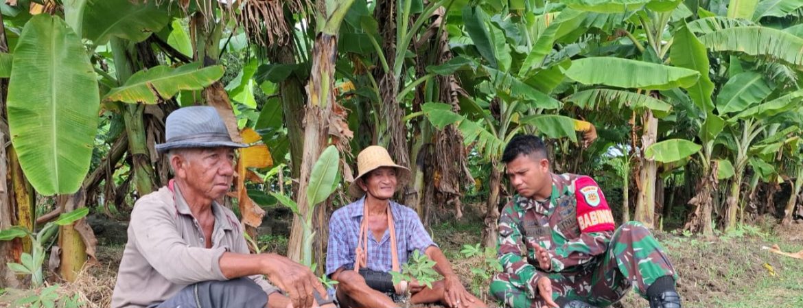 Komsos Babinsa Koramil 1601/Indramayu Tingkatkan Silaturahmi Dengan Warga Desa Sudimampir