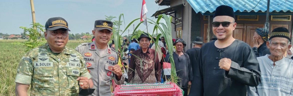 Babinsa Koramil 1608/Karangampel Hadiri Tradisi Adat Mapag Sri di Desa Cangkingan