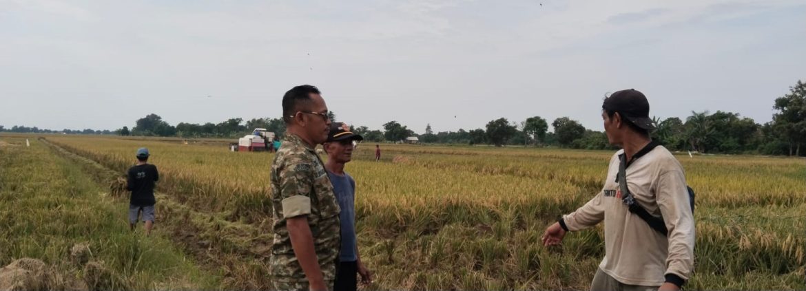Komsos Anggota Koramil 1601/Indramayu Bersama Petani di Desa Plumbon