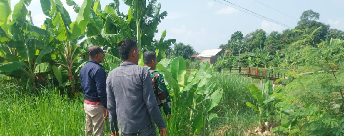Danramil 1602 Sindang Tinjau Rencana Pembangunan Jembatan Perintis Desa Kenanga