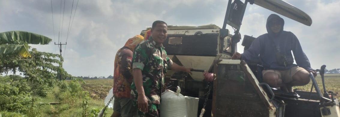 Babinsa Koramil 1605/Sukagumiwang Monitoring dan Dampingi Petani di Desa Jambe