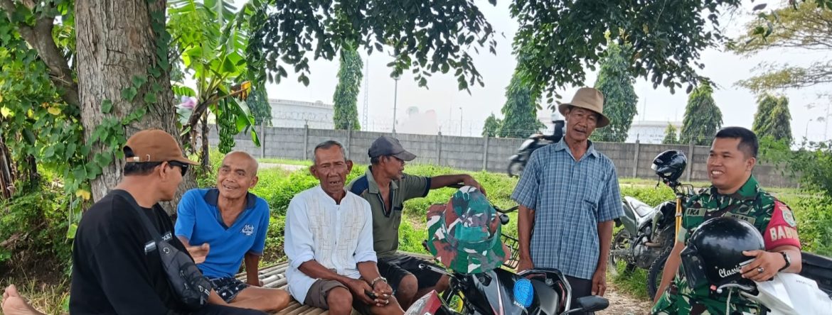 Komsos Babinsa Koramil 1601/Indramayu Bersama Petani di Desa Balongan Perkuat Ketahanan Pangan