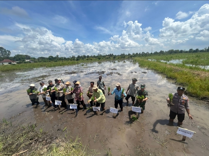 Personil dan Anggota Bhabinkamtibmas Polsek Pemulutan Ikuti Gerakan Tanam Cetak Sawah Rakyat di Desa Simpang Pelabuhan Dalam Ogan Ilir