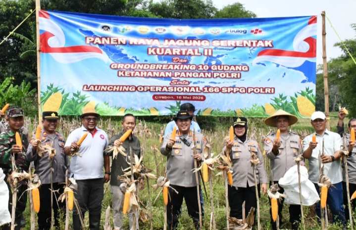 Sinergi Wujudkan Ketahanan Pangan, Polresta Cirebon Ikuti Panen Raya Jagung Serentak Bersama Presiden RI dan Kapolri