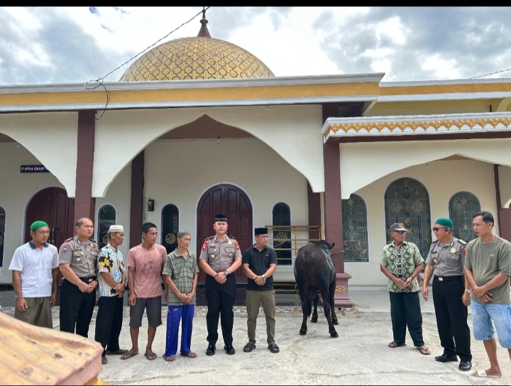 Polres Musi Rawas Utara Salurkan Bantuan Sapi Kurban dari Kapolda Sumsel untuk Warga Desa Karang Anyar Jelang Iduladha 1447 H
